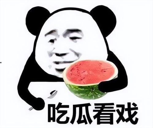 娱乐吃瓜酱求角b